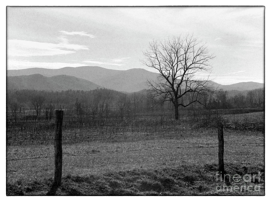 Black And White Photograph - Rural Tennessee - BWM000126 by Daniel Dempster