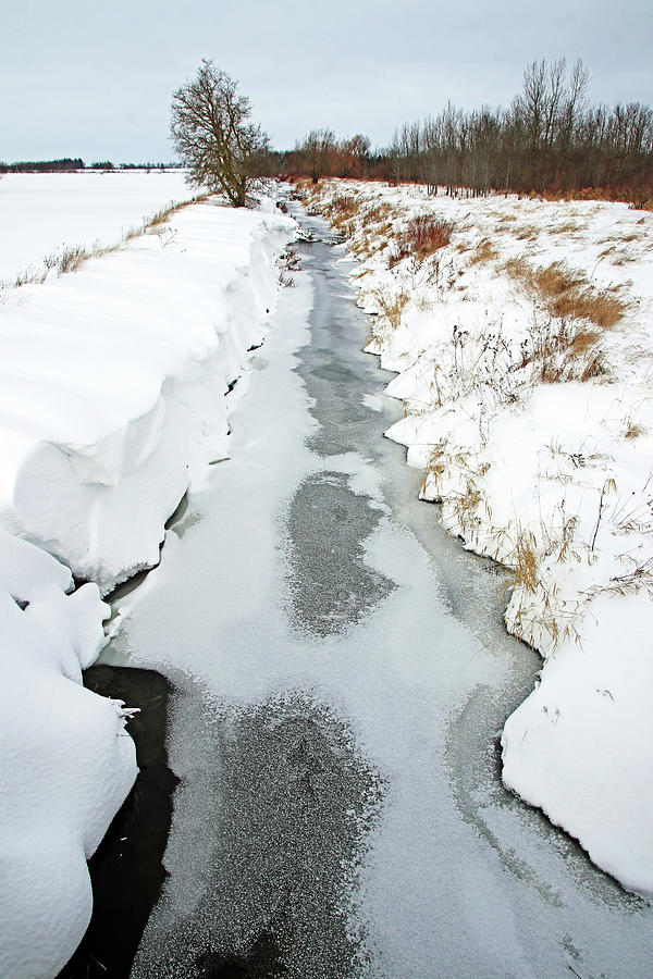 Rural Winter Creek Photograph by Debbie Oppermann