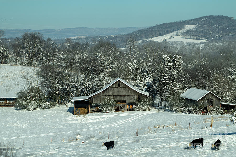 Rural Winter Photograph by Nicki McManus