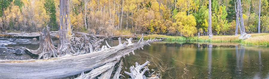 Rush Creek Pano 2 Photograph by Jonathan Nguyen