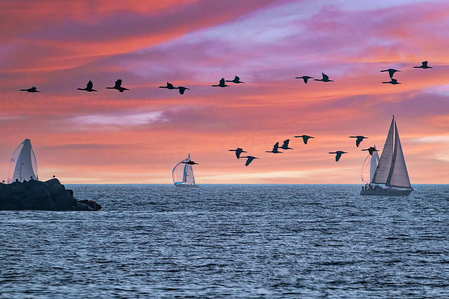 Rush Hour Traffic Photograph by Lindsay Thomson