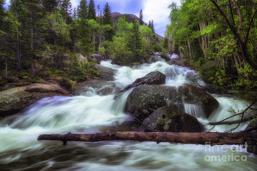 Rushing Creeks in Rocky Mountain National Park Colorado Photograph by Ronda Kimbrow