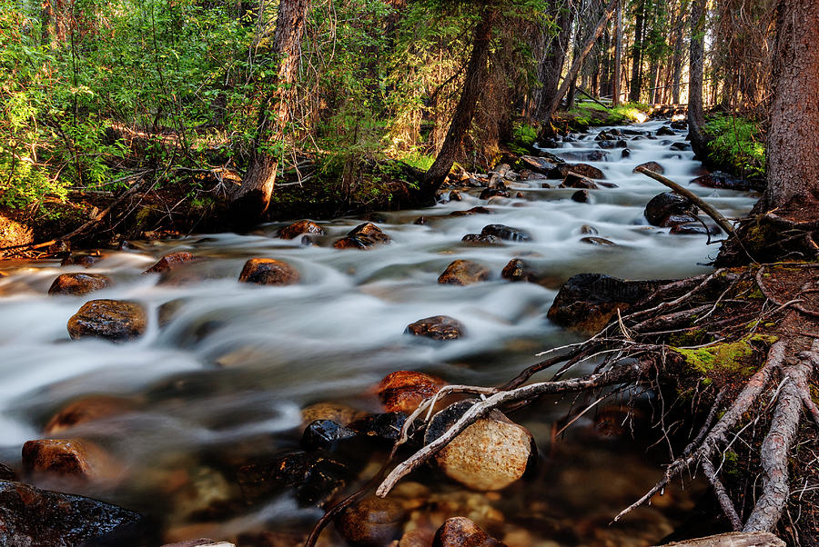 Rushing Fishhook Creek in Stanley Idaho USA Photograph by Vishwanath Bhat