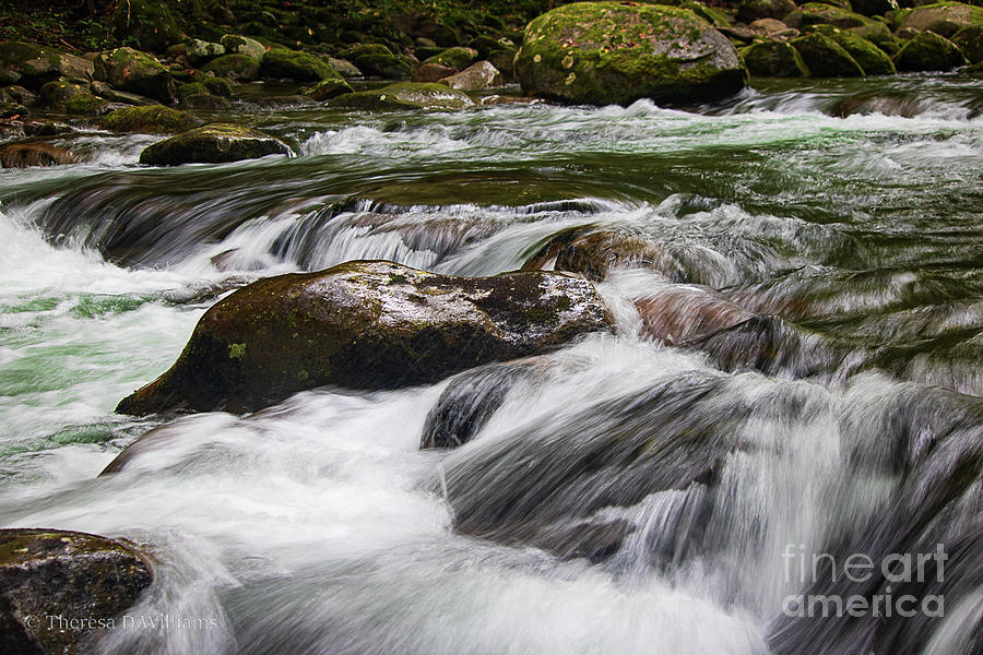Rushing mountain water, Smoky Mountains, Big Creek North Carolina Photograph by Theresa D Williams