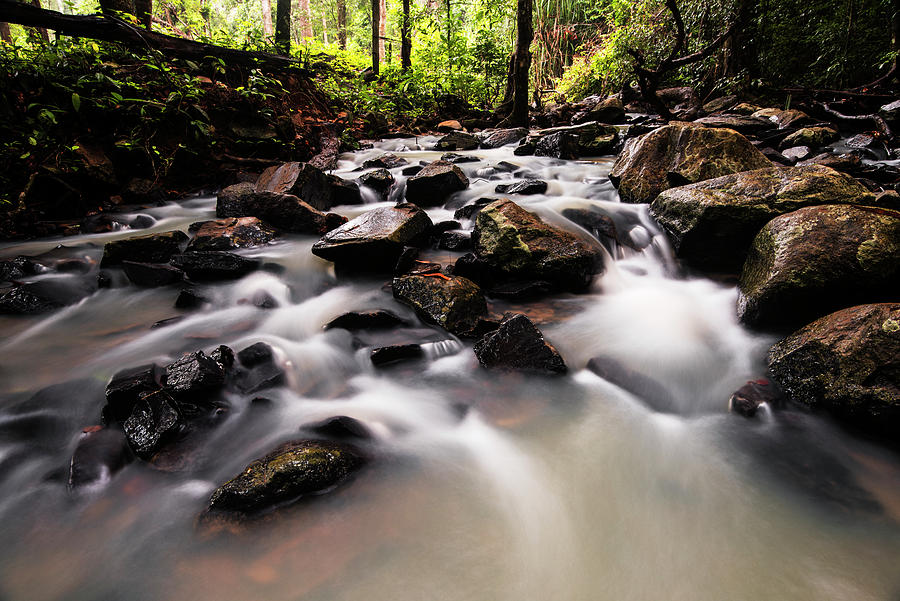 Rushing stream in the jungle Photograph by Vishwanath Bhat