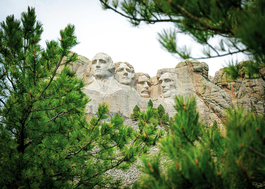 Rushmore Framed By Green Photograph by Dan Sproul