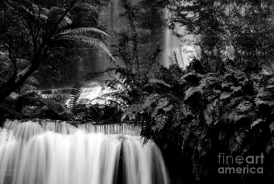 Black And White Photograph - Russel Falls, Mount Field National Park, Tasmania by Imi Koetz