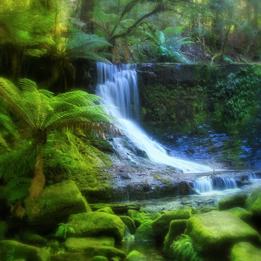 Russell Falls - Tasmania Photograph by Gene Taylor
