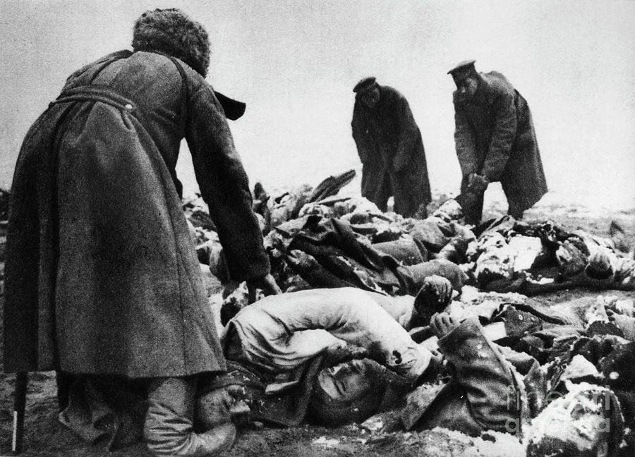 Russia - Civil War, 1917 Photograph by Granger