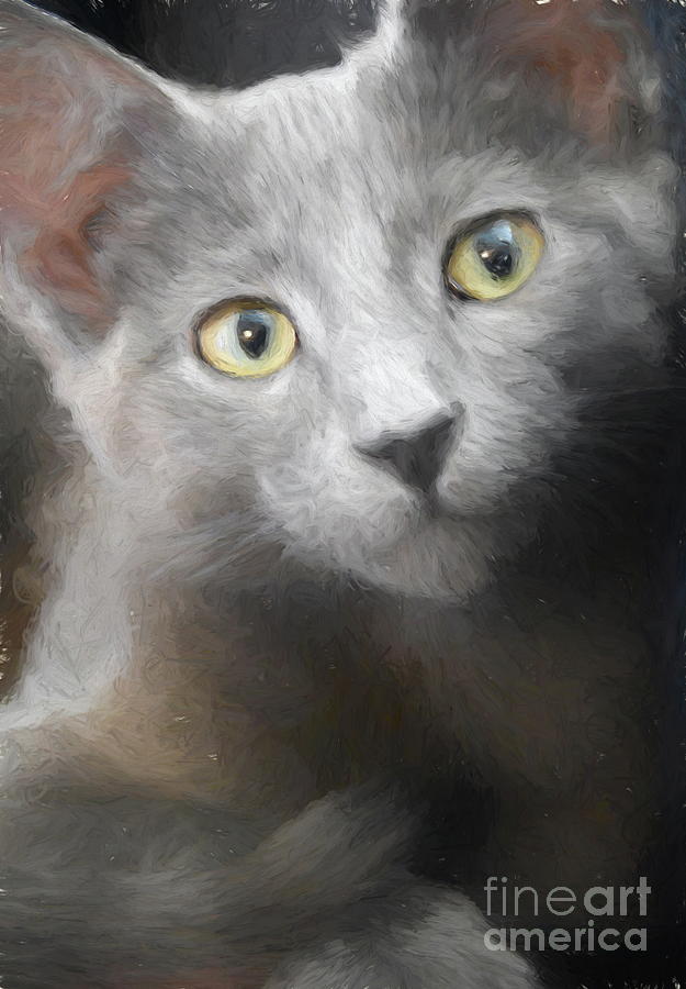 Russian Blue Kitten Portrait 3 Digital Art by Andrea Anderegg
