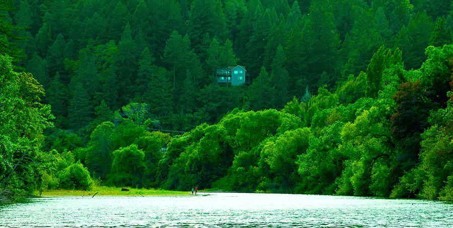 Russian River Forest Photograph by Stephen Edwards - Pixels