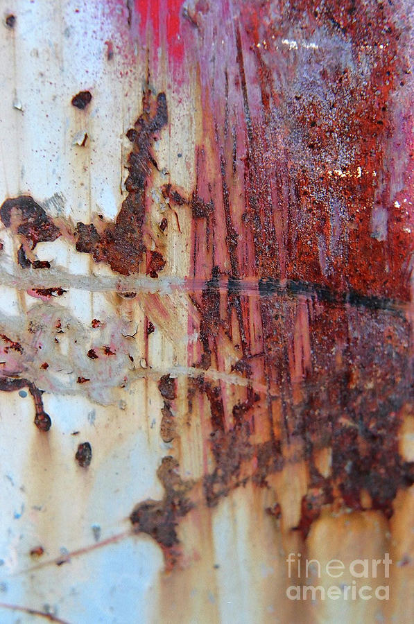 Rust #11 Photograph by Stephanie Gambini