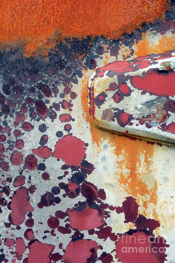 Rust #17 Photograph by Stephanie Gambini