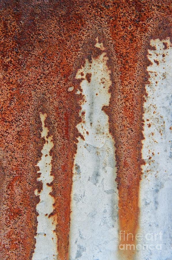 Rust #2 Photograph by Stephanie Gambini