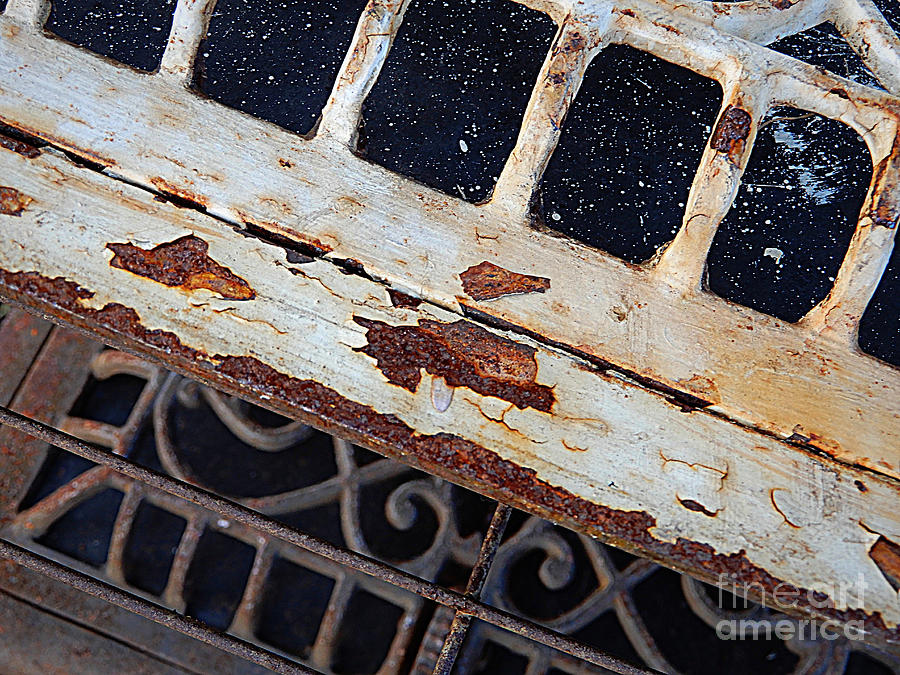 Rust and Stuff Photograph by Carol Groenen
