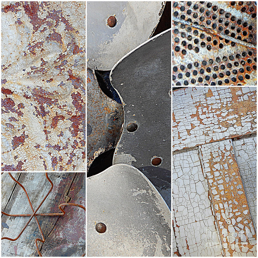 Rust and Stuff Collage Photograph by Carol Groenen