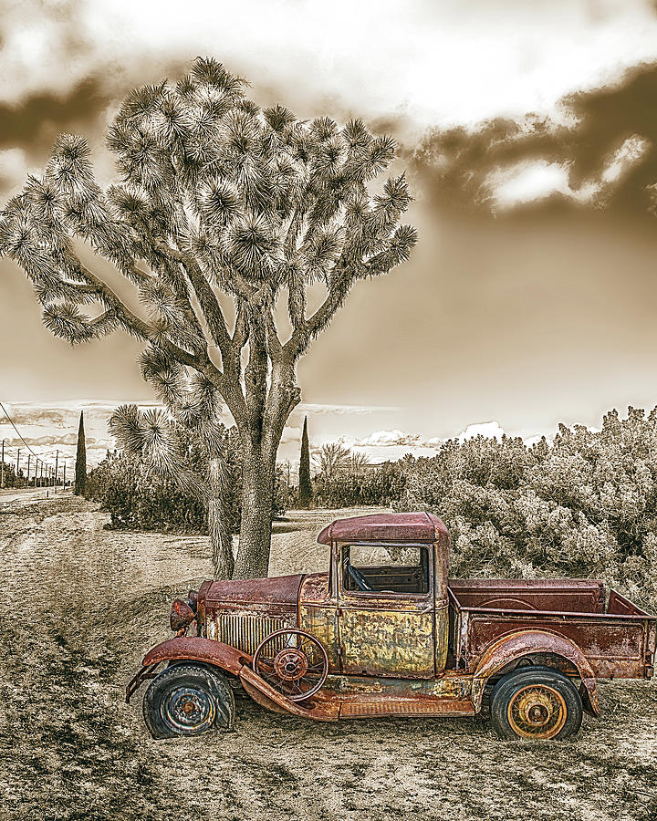 Rust In The Desert, Hand Colored Sepia Toned Black And White Photograph by Don Schimmel