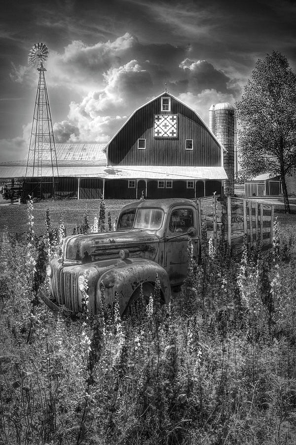Rust in the Wildflowers in Black and White Photograph by Debra and Dave Vanderlaan