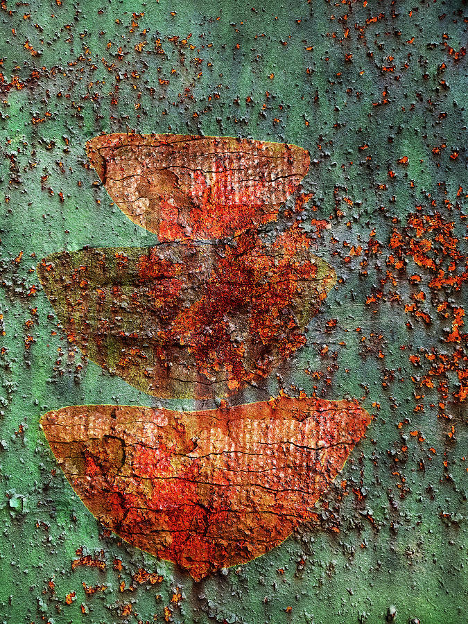 Abstract Photograph - Rust by Jacky Gerritsen