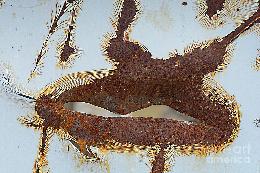 Rust on Old skip Bin by Kaye Menner Photograph by Kaye Menner