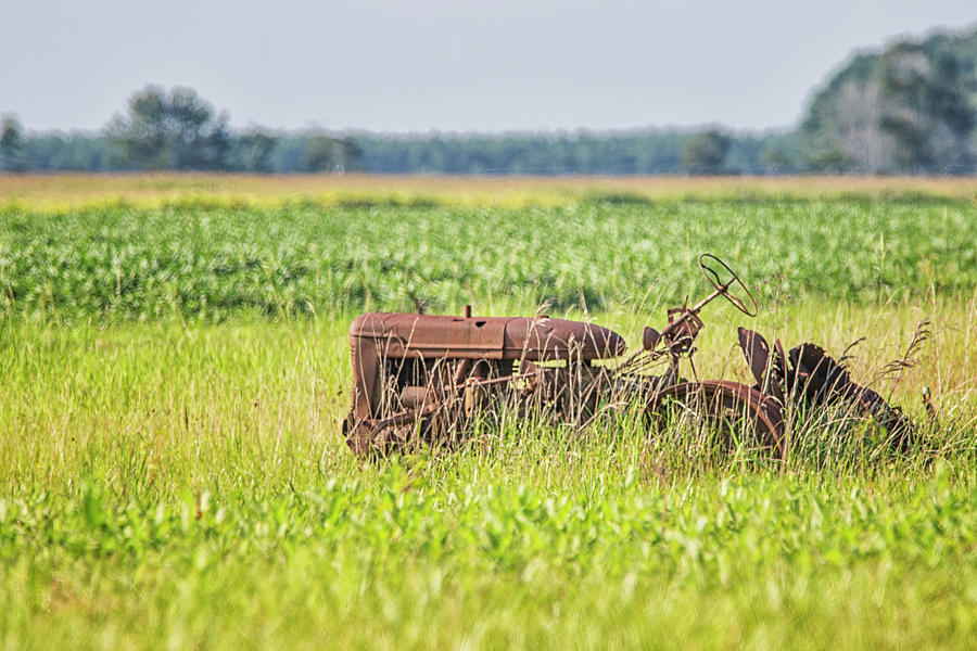 Rusted and Busted Antique Tractor - Pamlico County North Carolin Photograph by Bob Decker
