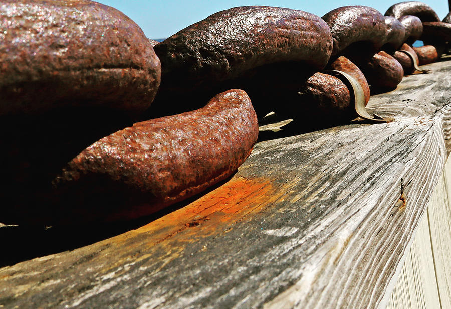 Rusted Chains Photograph by Lisa Cuipa
