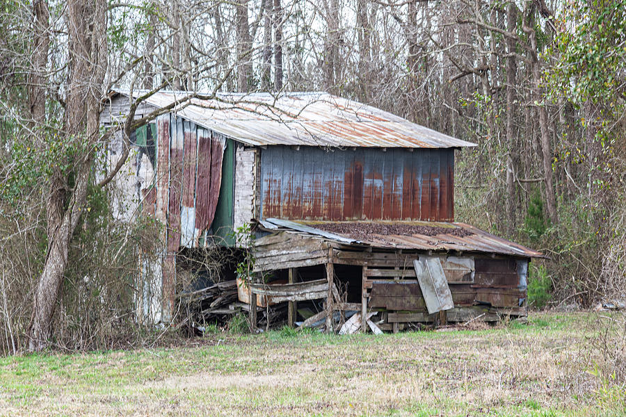 Old Rusted Decaying Metal Barn in Onslow County North Carolina Photograph by Bob Decker