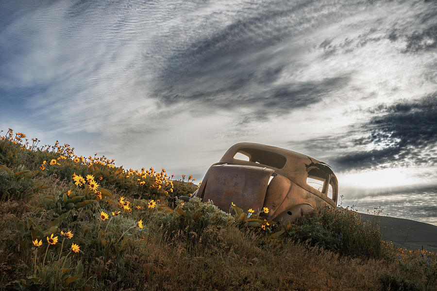 Rusted in the Spring Meadow Photograph by Don Schwartz
