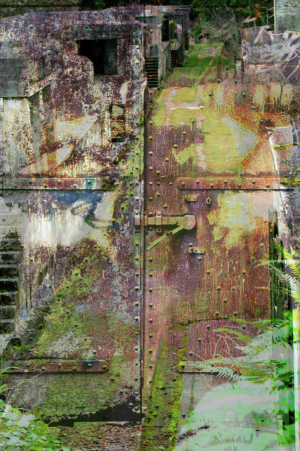 Rusted Iron Doors - A Fort Photograph by Marie Jamieson