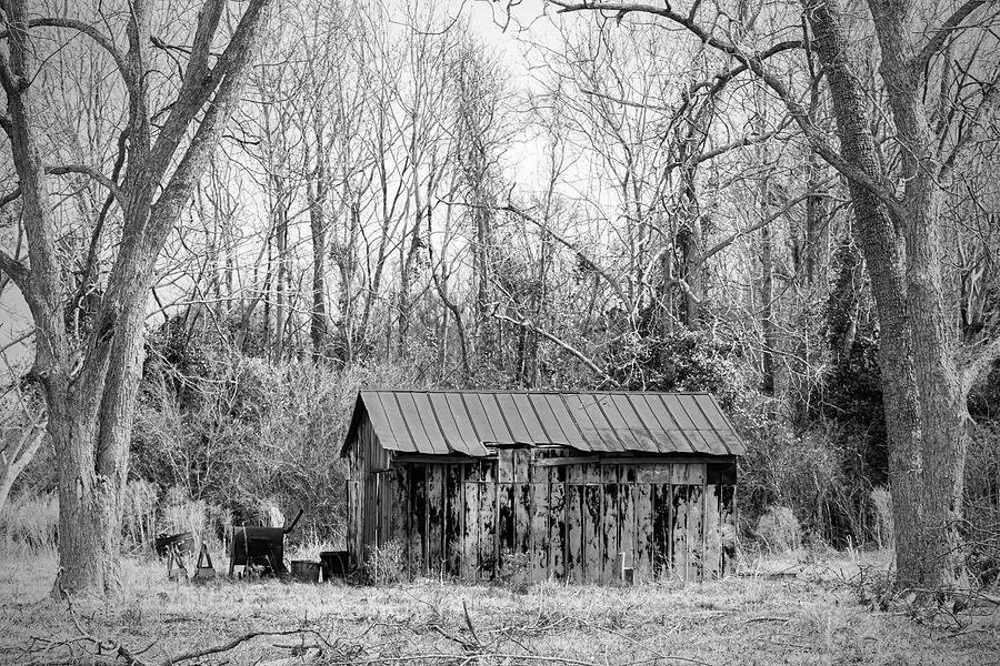 Rustic Abandoned Shed in Onslow County North Carolina Photograph by Bob Decker