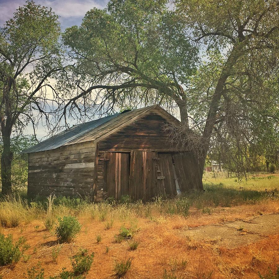  Decaying Rural Shed Photograph by Jerry Abbott