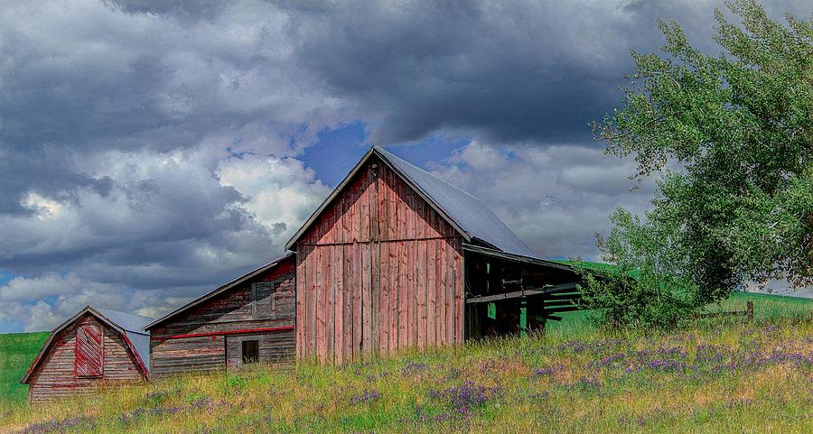 Rustic and Rural Photograph by Marcy Wielfaert