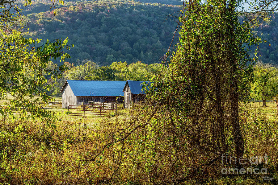 Rustic Arkansas Barns Photograph by Jennifer White