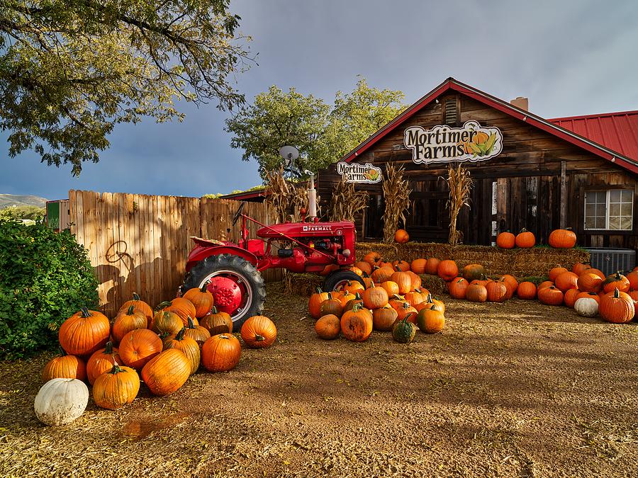 Rustic Autumn Scene At The Farm Market Photograph by Mountain Dreams