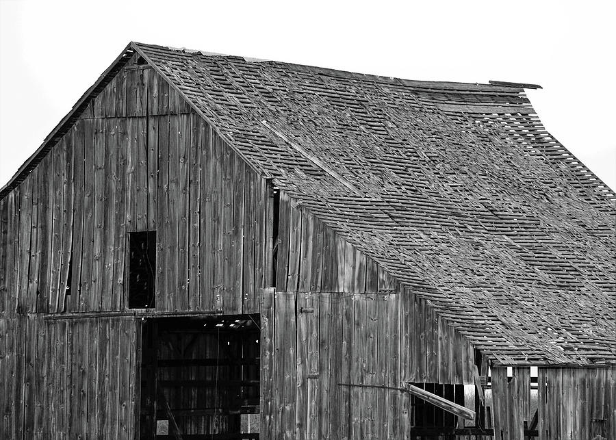 Rustic Barn Photograph by Brett Harvey