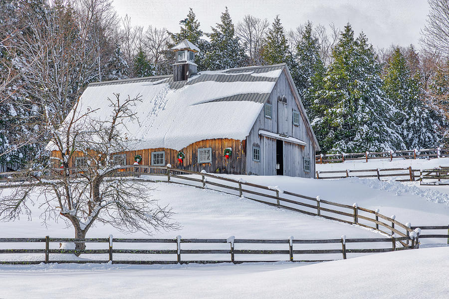 Rustic Barn in Wilmot New Hampshire Framed in a Winter Wonderland Photograph by Juergen Roth