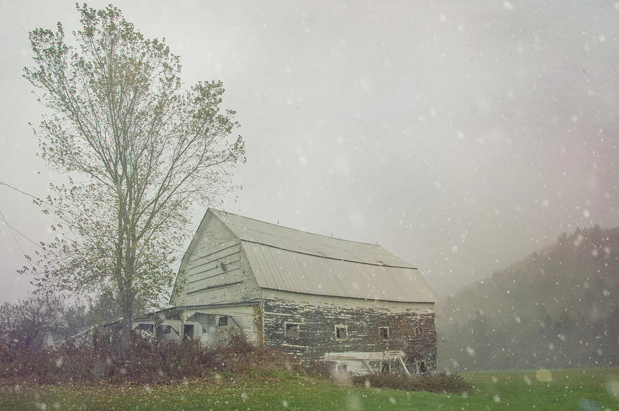 Rustic Barn - Snow Squall In Granville, Vt Photograph