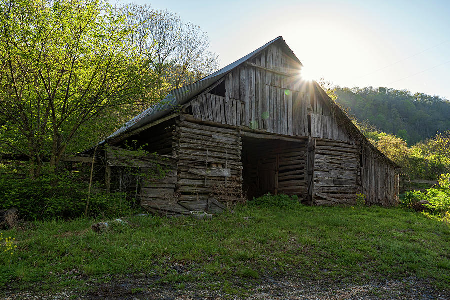Rustic Barn  Photograph by Tammy Chesney