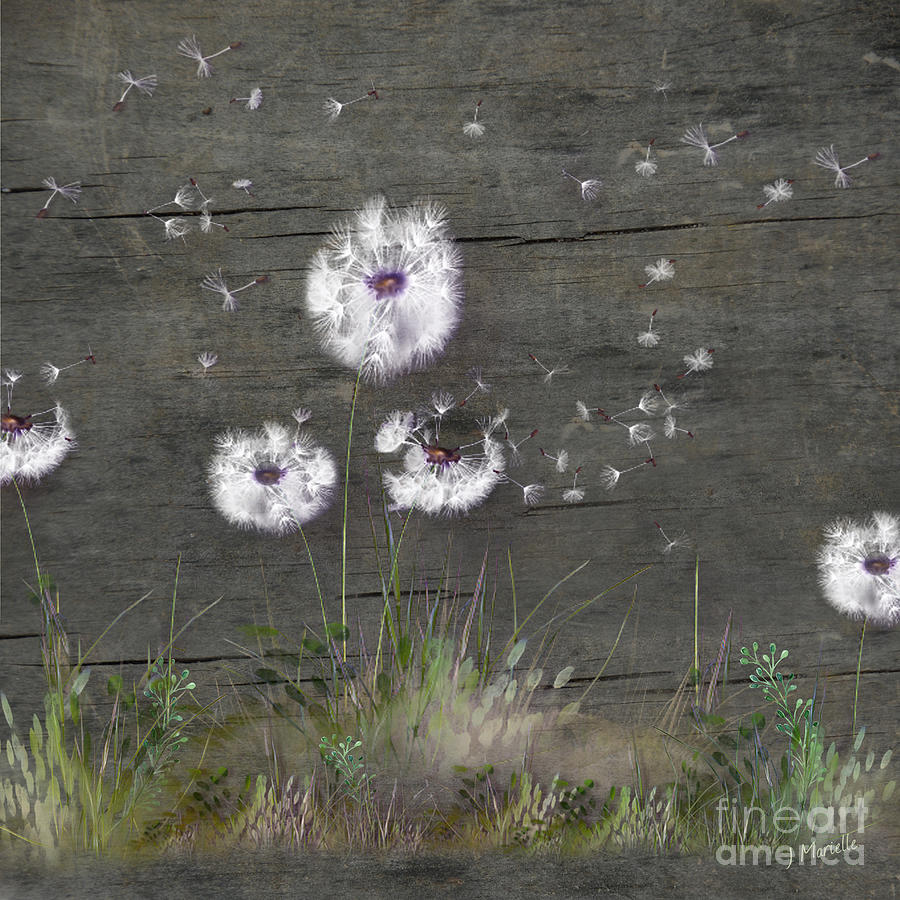 Rustic Barn Wood Series Dandelion Seeds Fly Away Digital Art by J Marielle