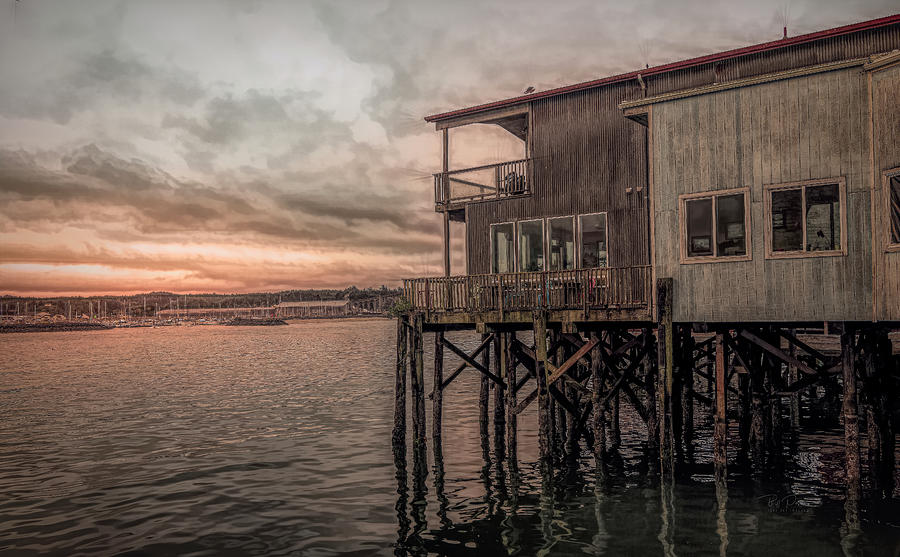 Rustic Bayfront Photograph by Bill Posner