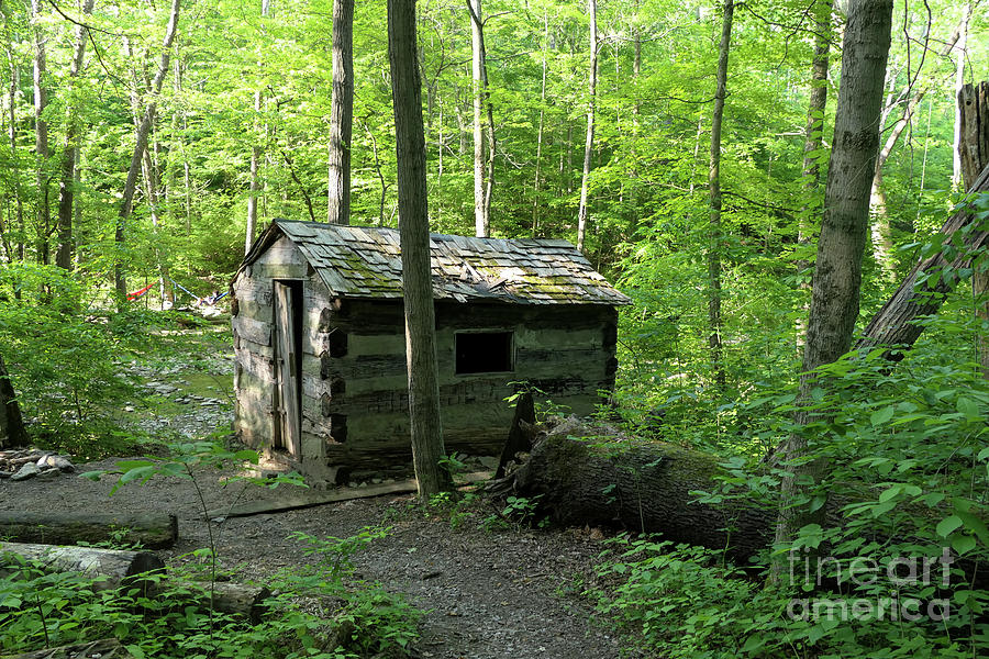 Rustic Camp Cabin  Photograph by Bentley Davis