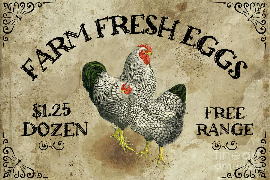 Rustic Chicken Sign Painting by Tina LeCour Rustic Chicken Sign Painting by Tina LeCour