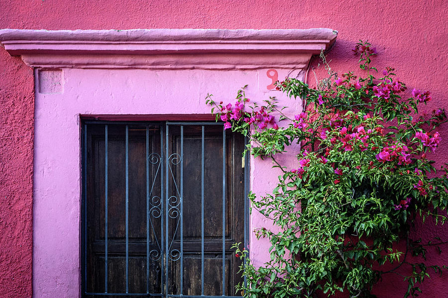 Flower Photograph - Old Door in Queretaro by Arina Gallery