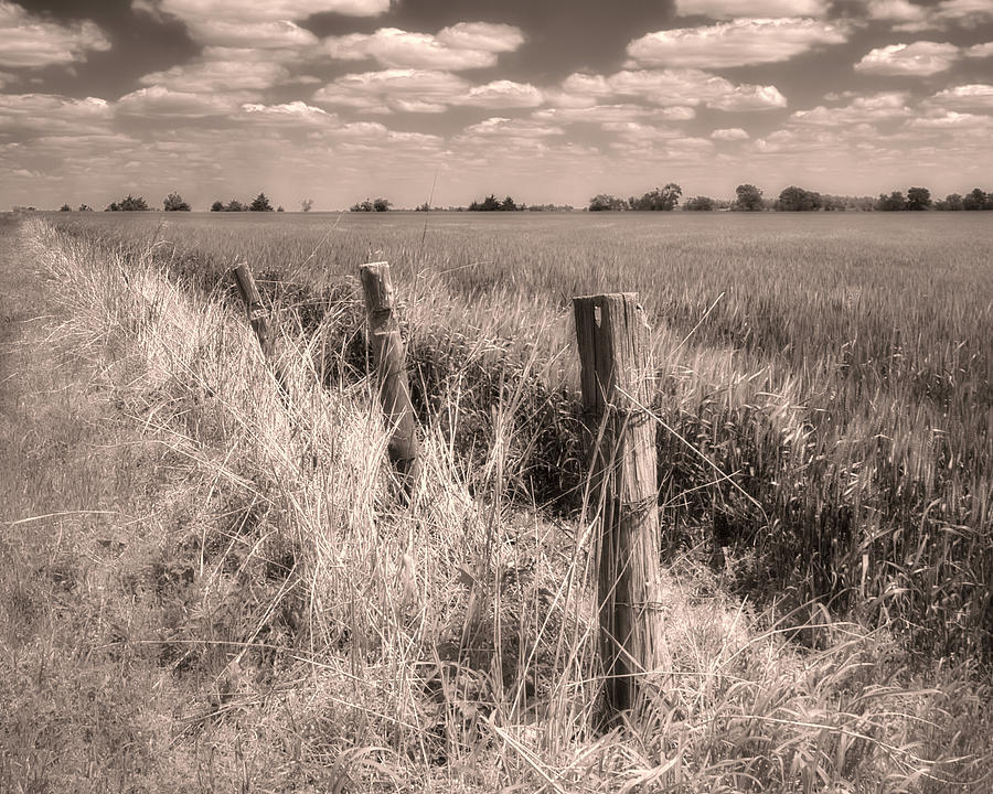Rustic Country Barbed Wire Fence sepia toned photograph Photograph by Ann Powell