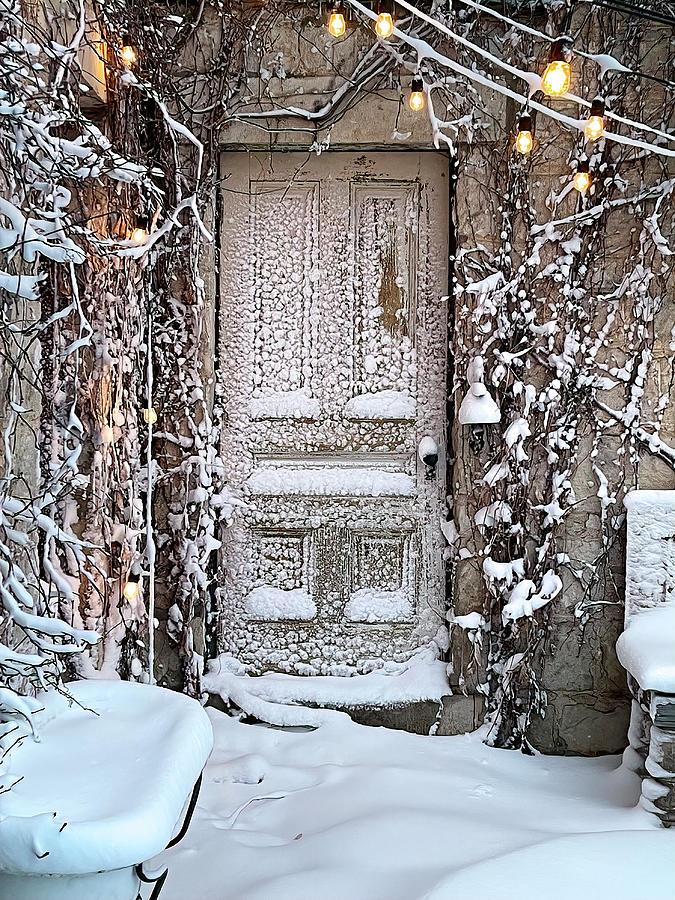 Rustic Door Frosted With Snow Photograph by Deborah League