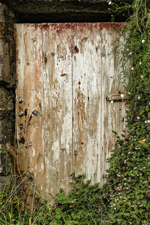 Rustic Door with Flowers Photograph by Denise Kopko