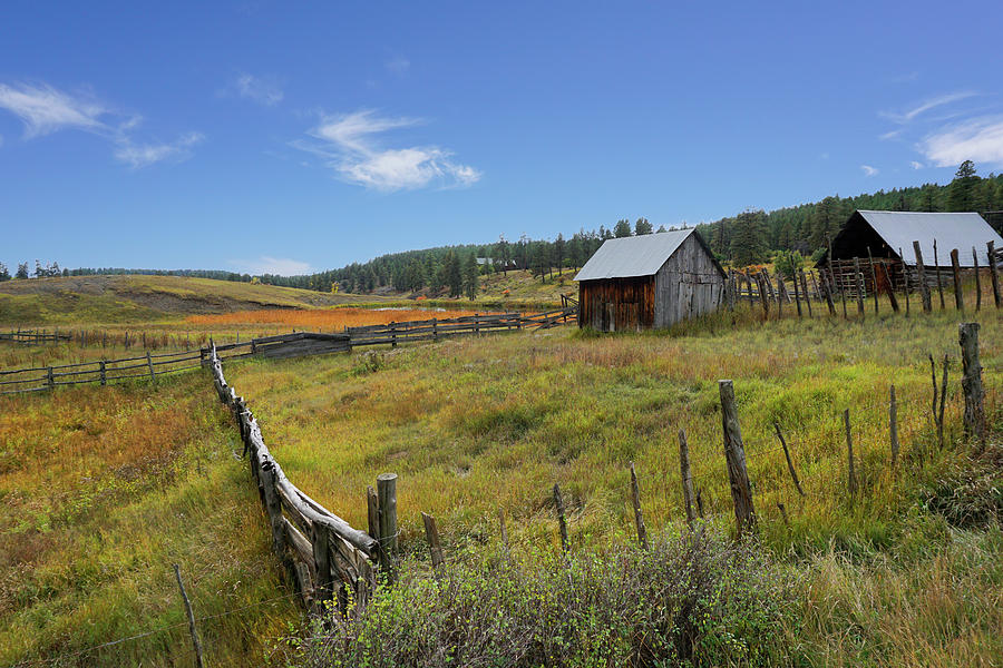 Rustic Farm Buildings Photograph by Paul Hamilton - Fine Art America