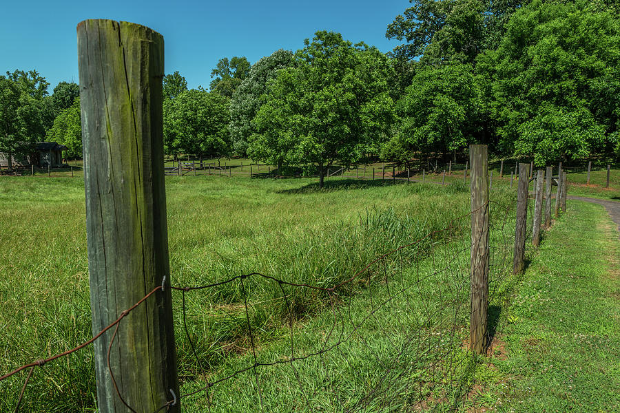 Rustic Farm Fence Photograph