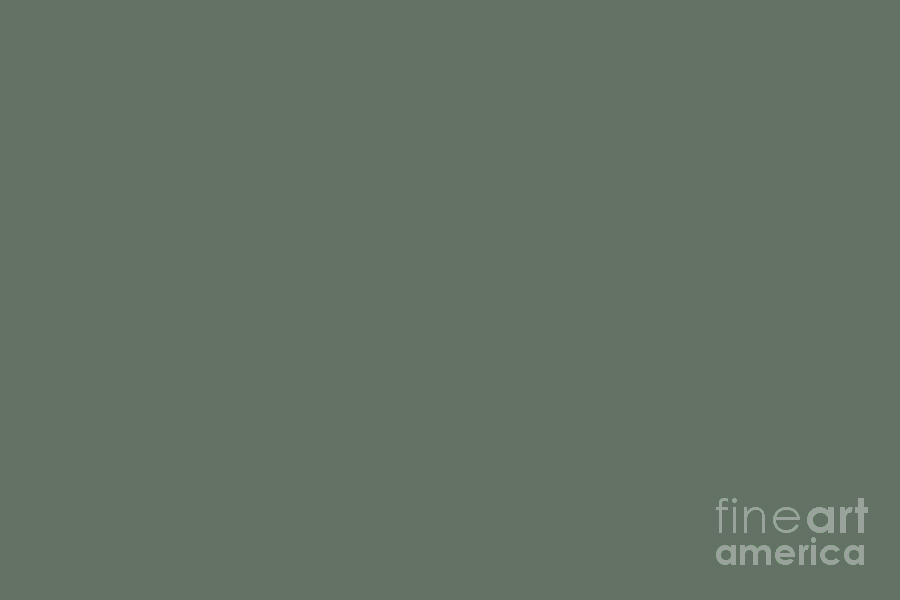 Rustic Forest Green Solid Color Pairs Farrow and Ball 2021 Color of the Year Green Smoke 47 Digital Art by PIPA Fine Art - Simply Solid