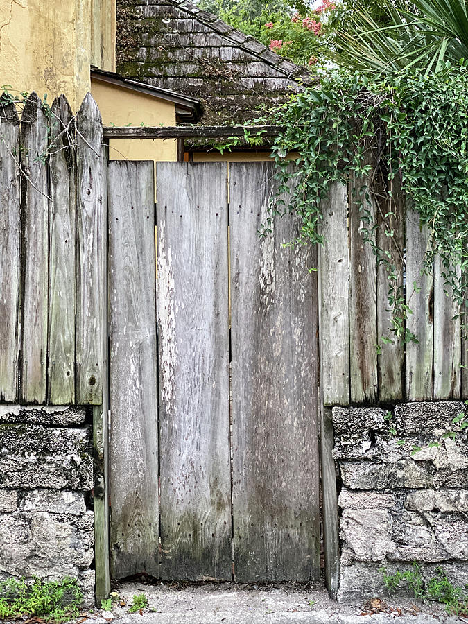 Rustic Garden Gate, St. Augustine, Florida Photograph by Dawna Moore Photography